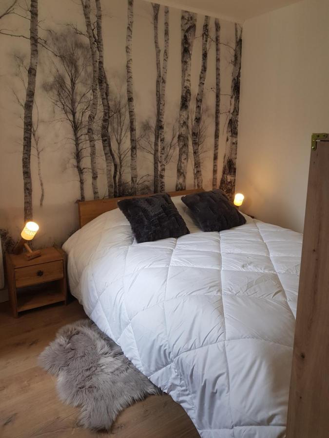 Apartament Castel Isard - Le Refuge Porté-Puymorens Zewnętrze zdjęcie